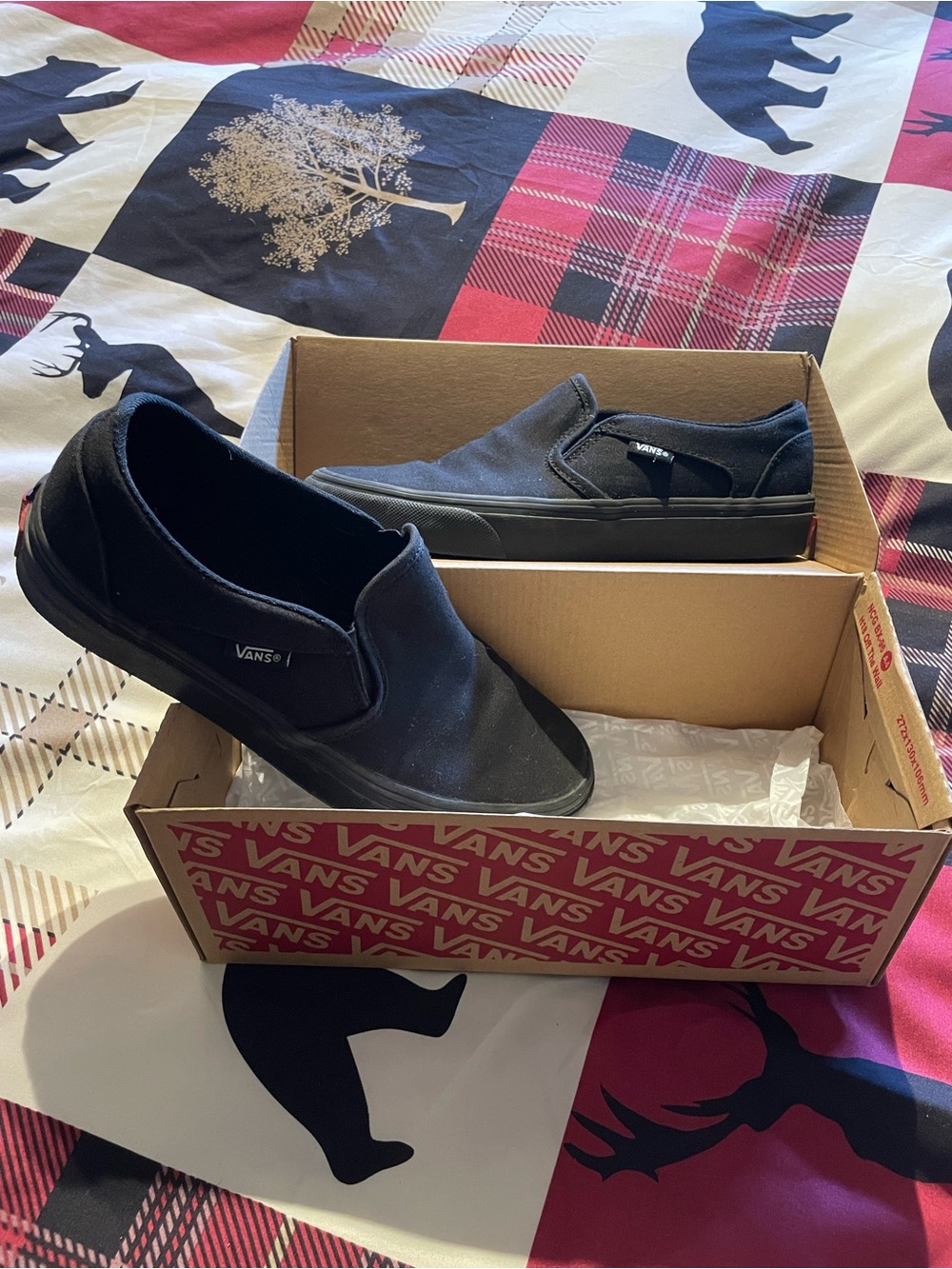 Vans Black Classic Slip-On Canvas Asher